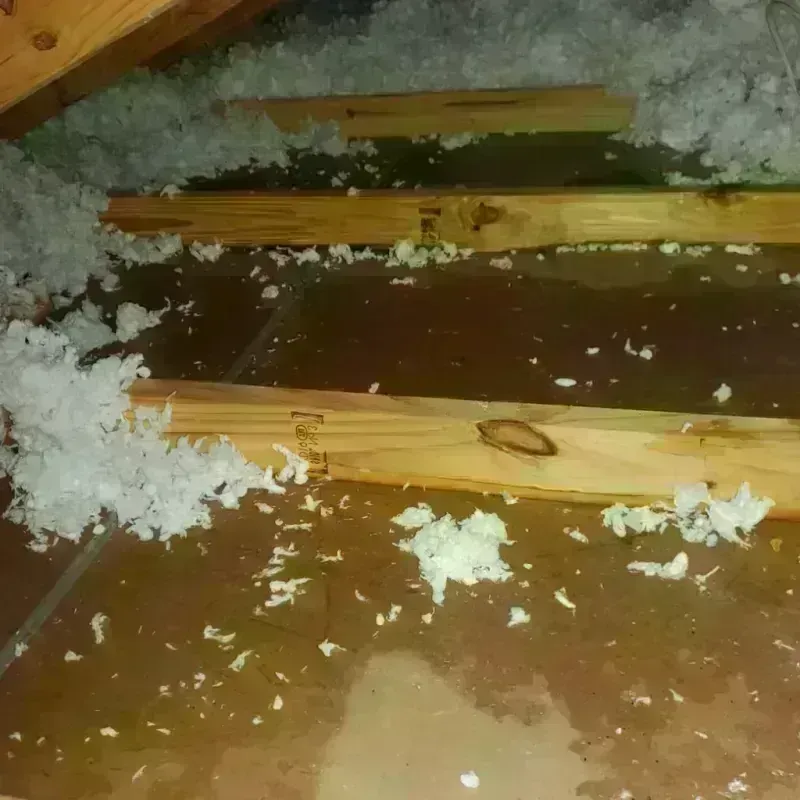 Attic Water Damage in Lowndes County, MS